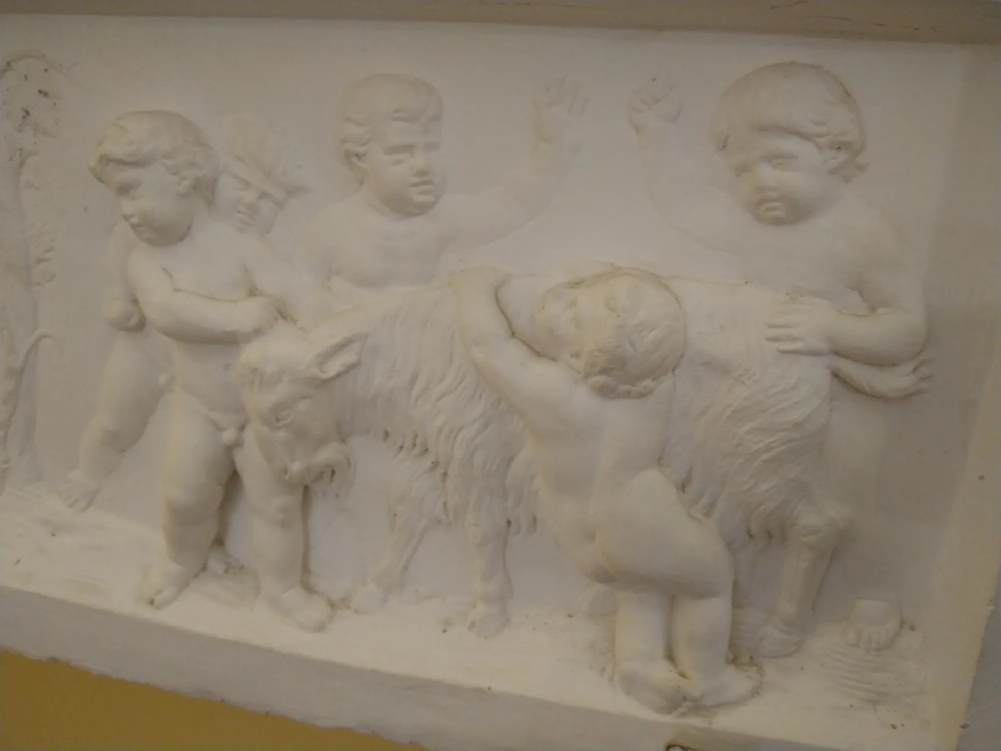 Упитанные дети