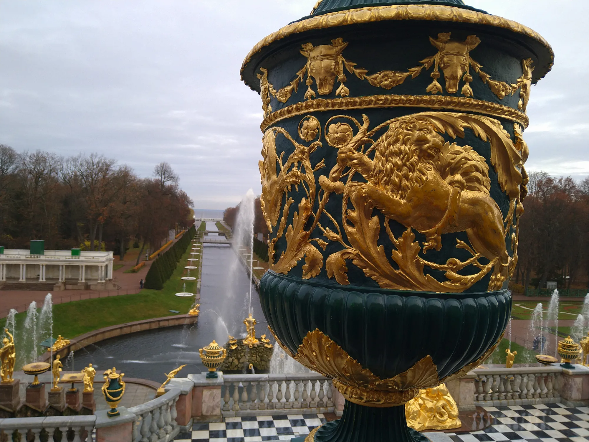 Упитанный лев