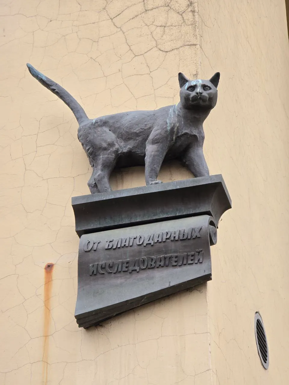 На одном из зданий больничного городка (нашла ещё весной, когда лежала в этой больничке)