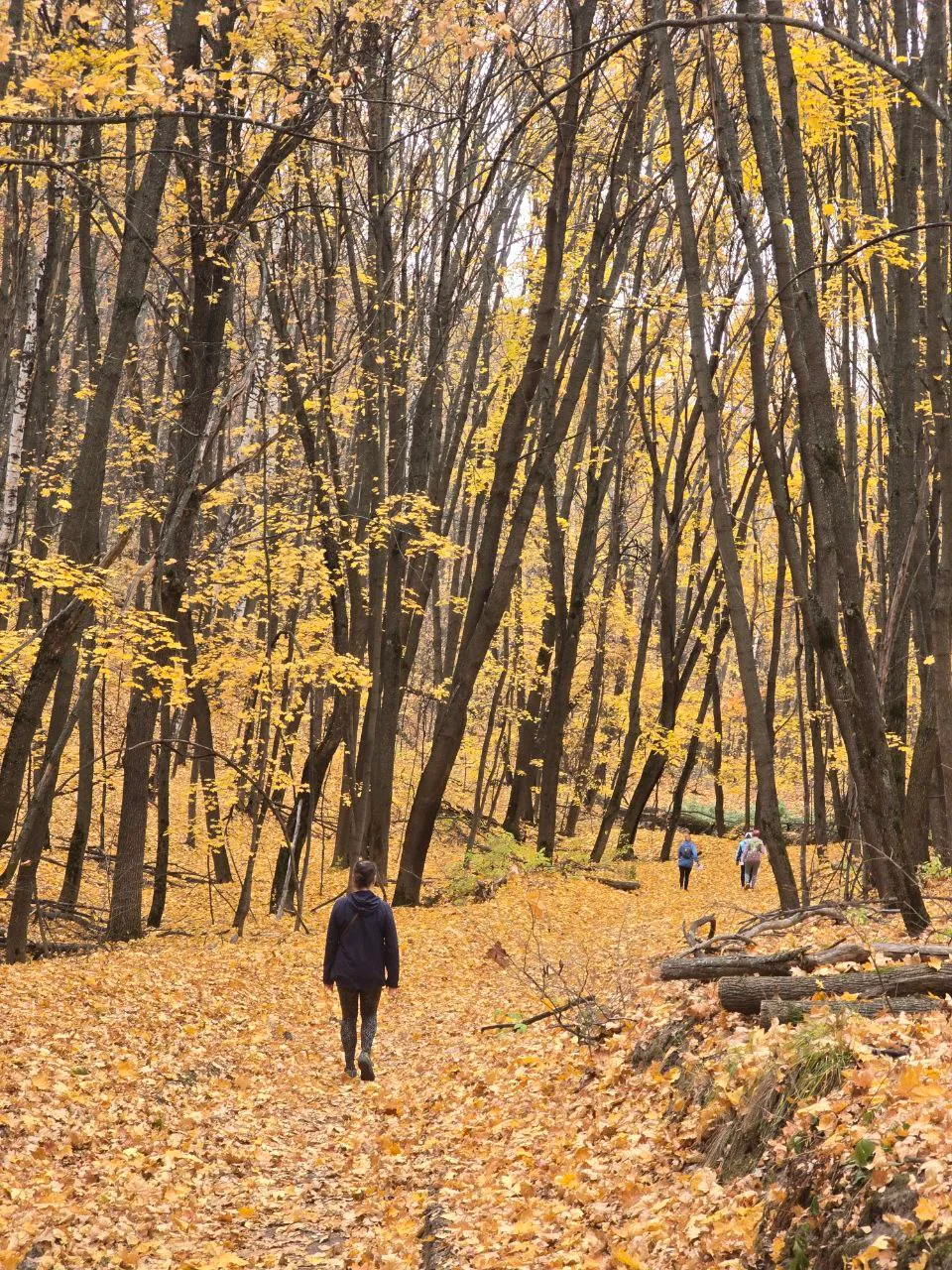 Шуршать - не перешуршать!