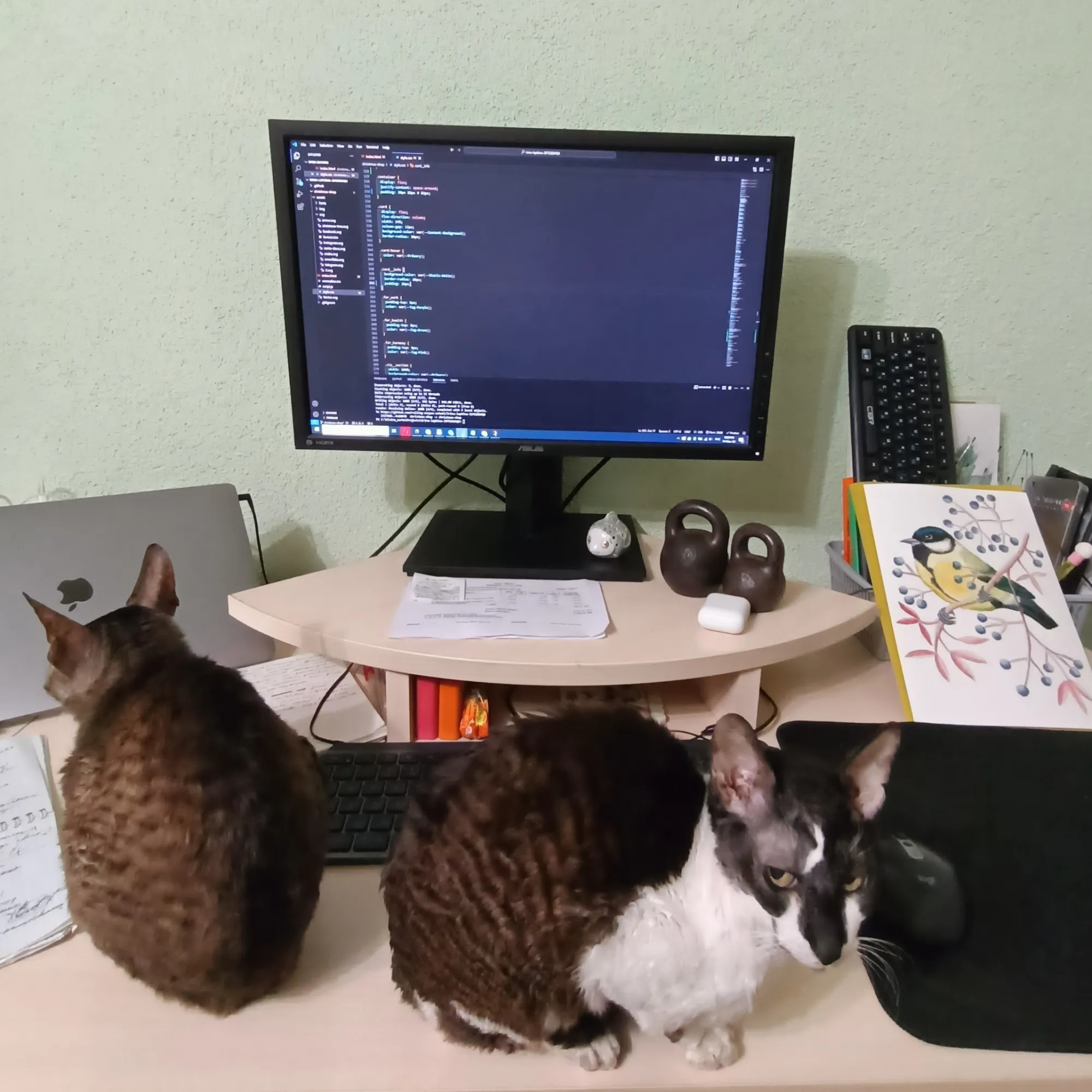 Что-то я не сфоткала их вместе крупно и красиво, пока они были у меня, есть они только на фото с кошками - почти посередине, чуть справа от стойки монитора