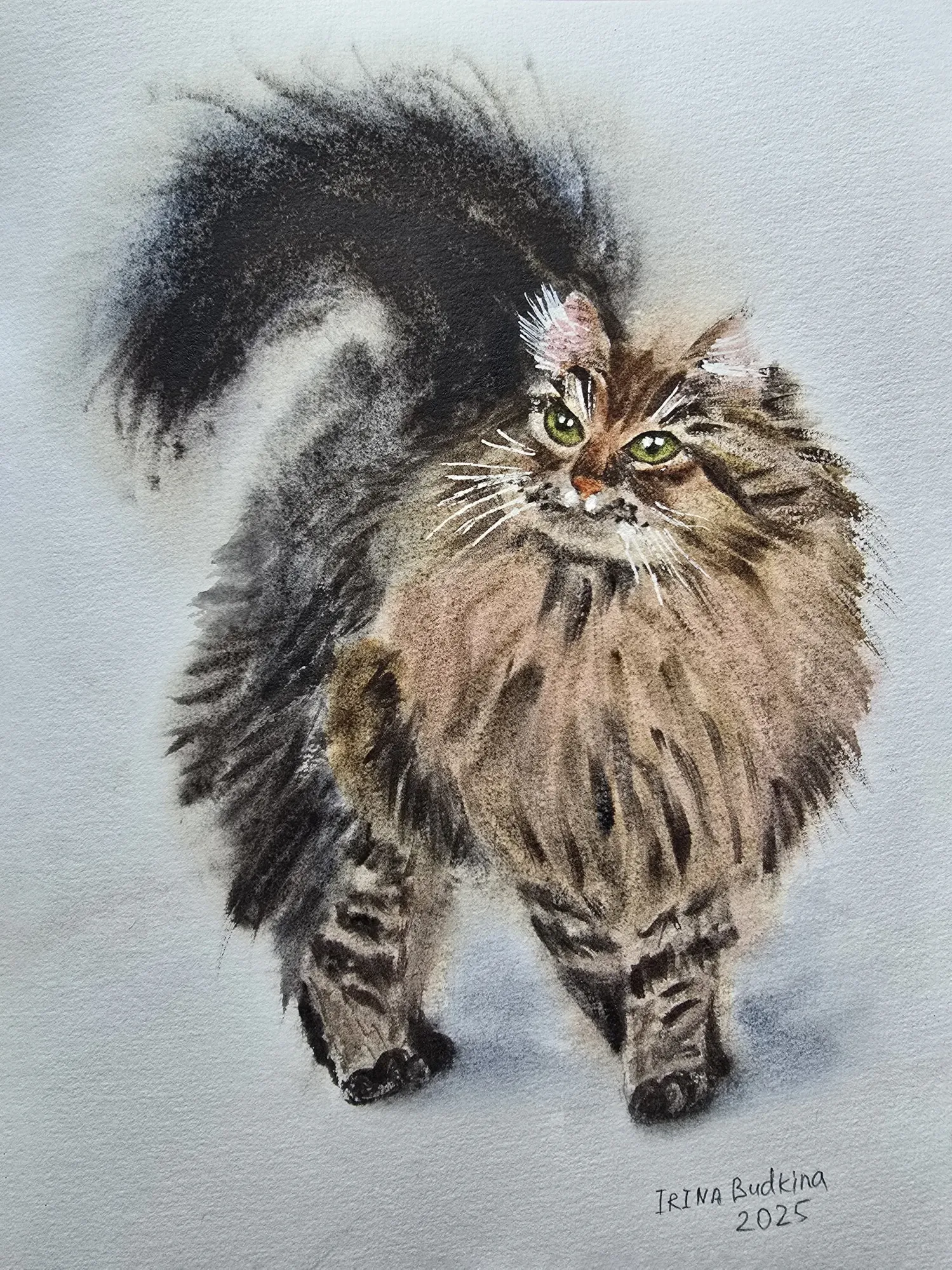 Бумага хлопок 300 г/м2, акварельные краски Сонет, резервирующая жидкость для акварели