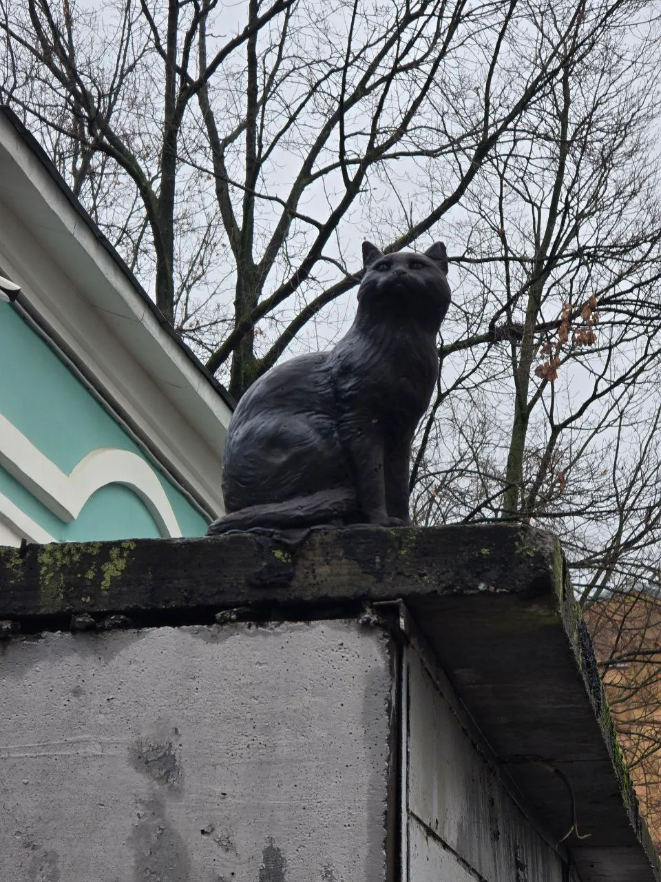 На каком-то гараже на Петроградке. Этого нашла только в недавнюю поездку, хорошо прятался )