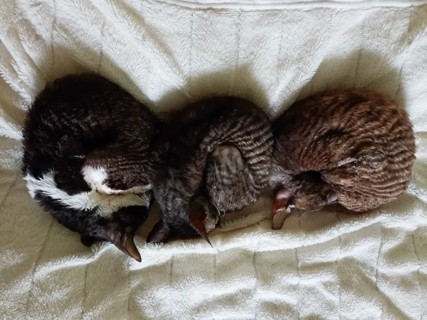 На общем фото она первая слева )