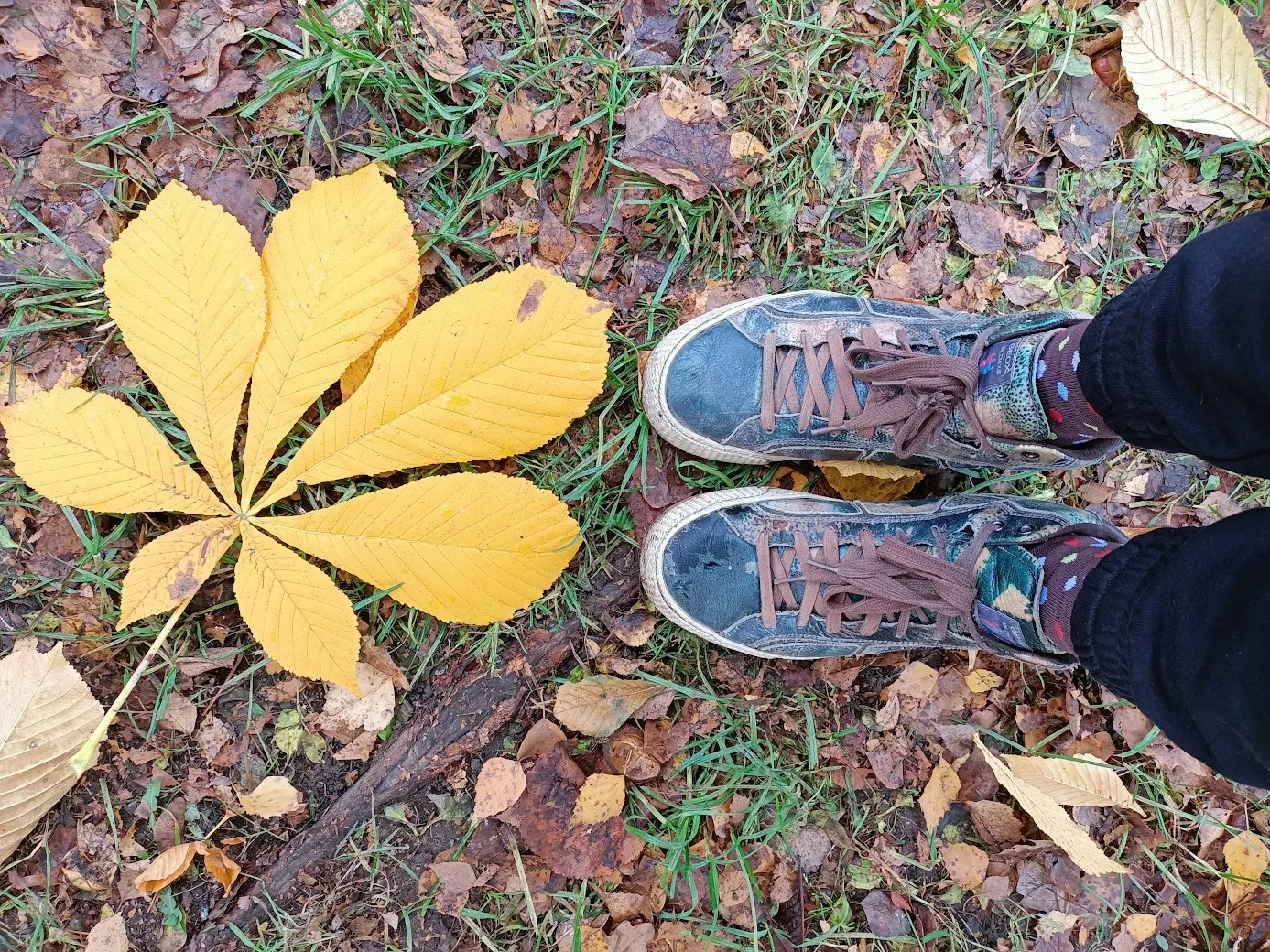 Ботинки к концу поездки я таки порвала, понесу опять в ремонт. Их уже в лицо там знают )