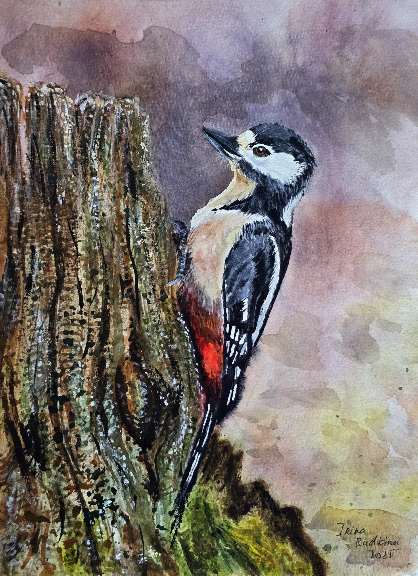 В поисках осенних тем для акварелей нашла такого красавца