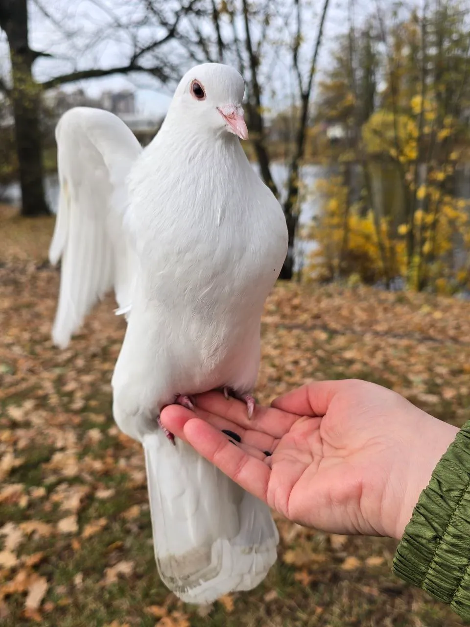 Даже если потрясти рукой, не улетают