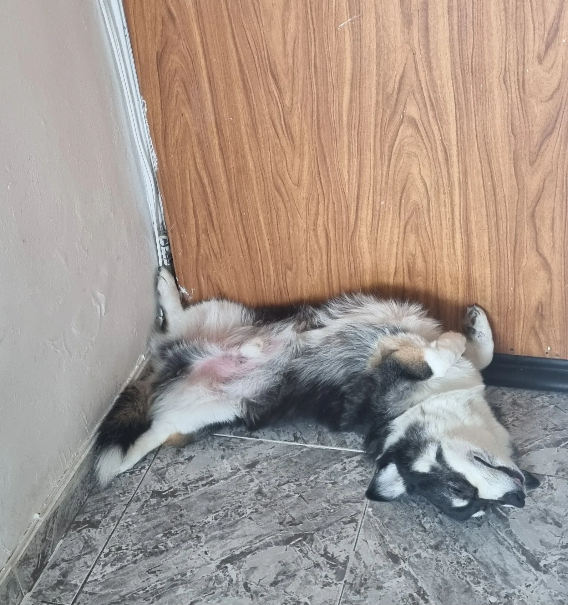 И они об этом знают 😂