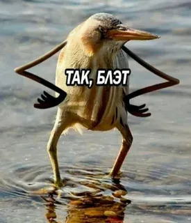 все опять переоделись. вопрос дня- ху из ху