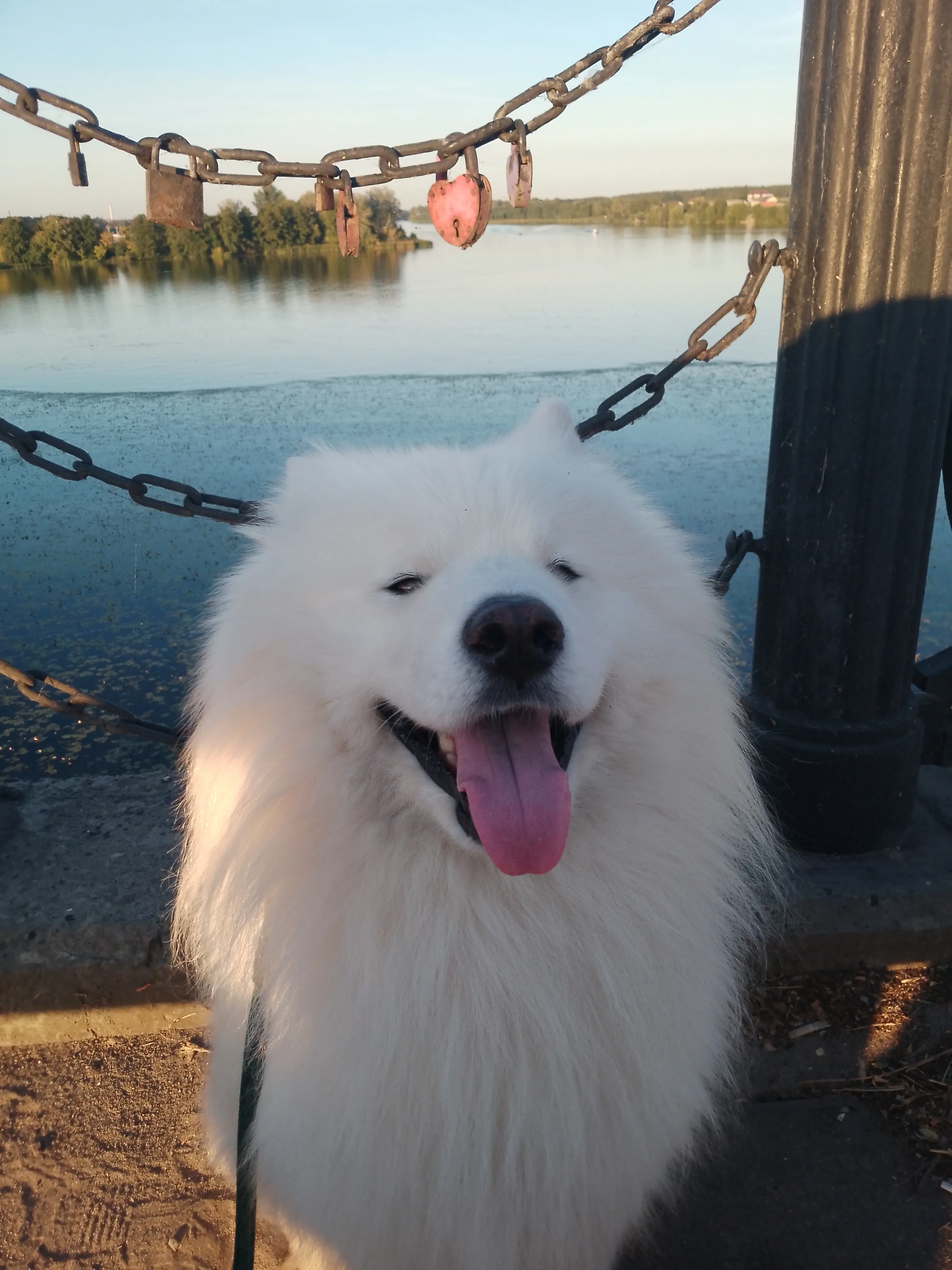 Мост в г.Липецк через реку Воронеж