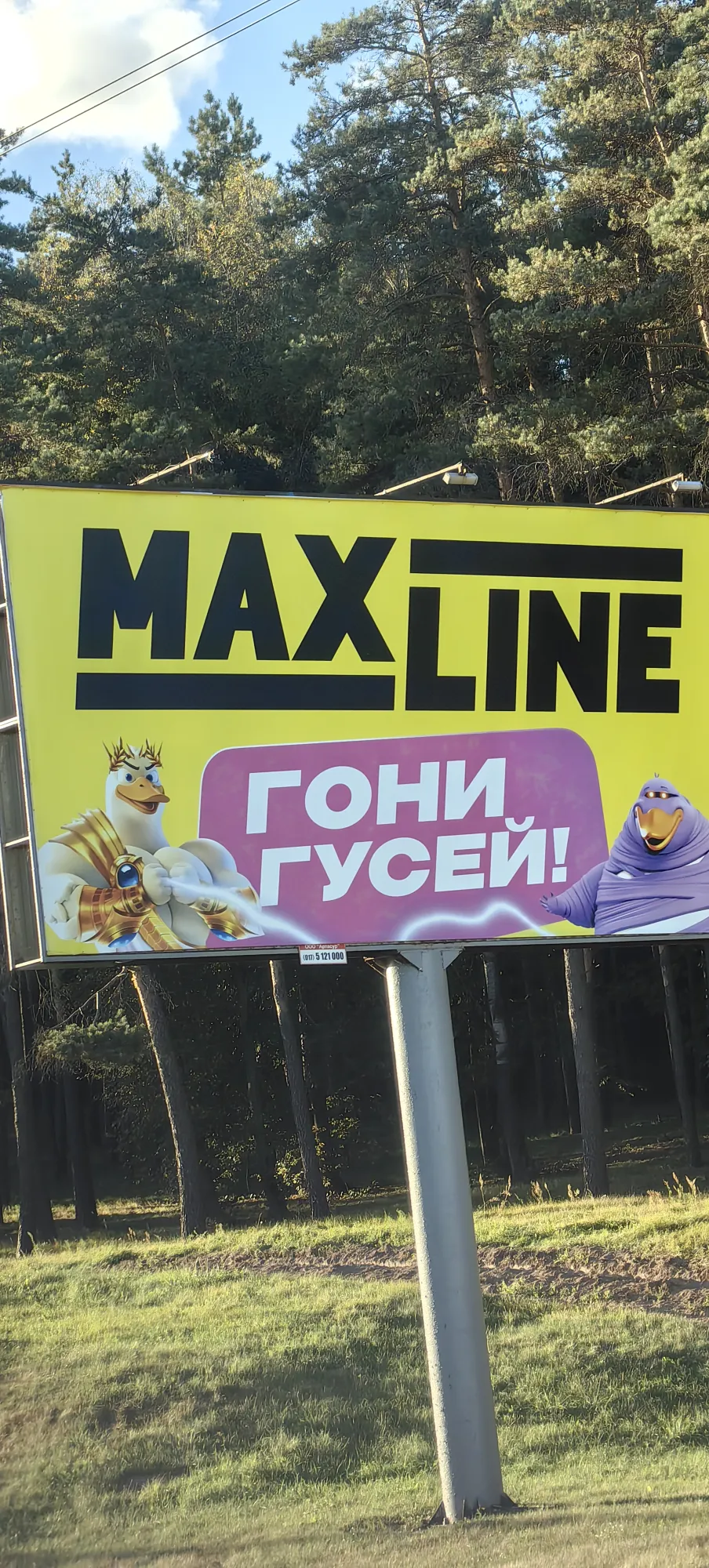 Воруй-убивай. Гони гусей. Жди ответного гудка