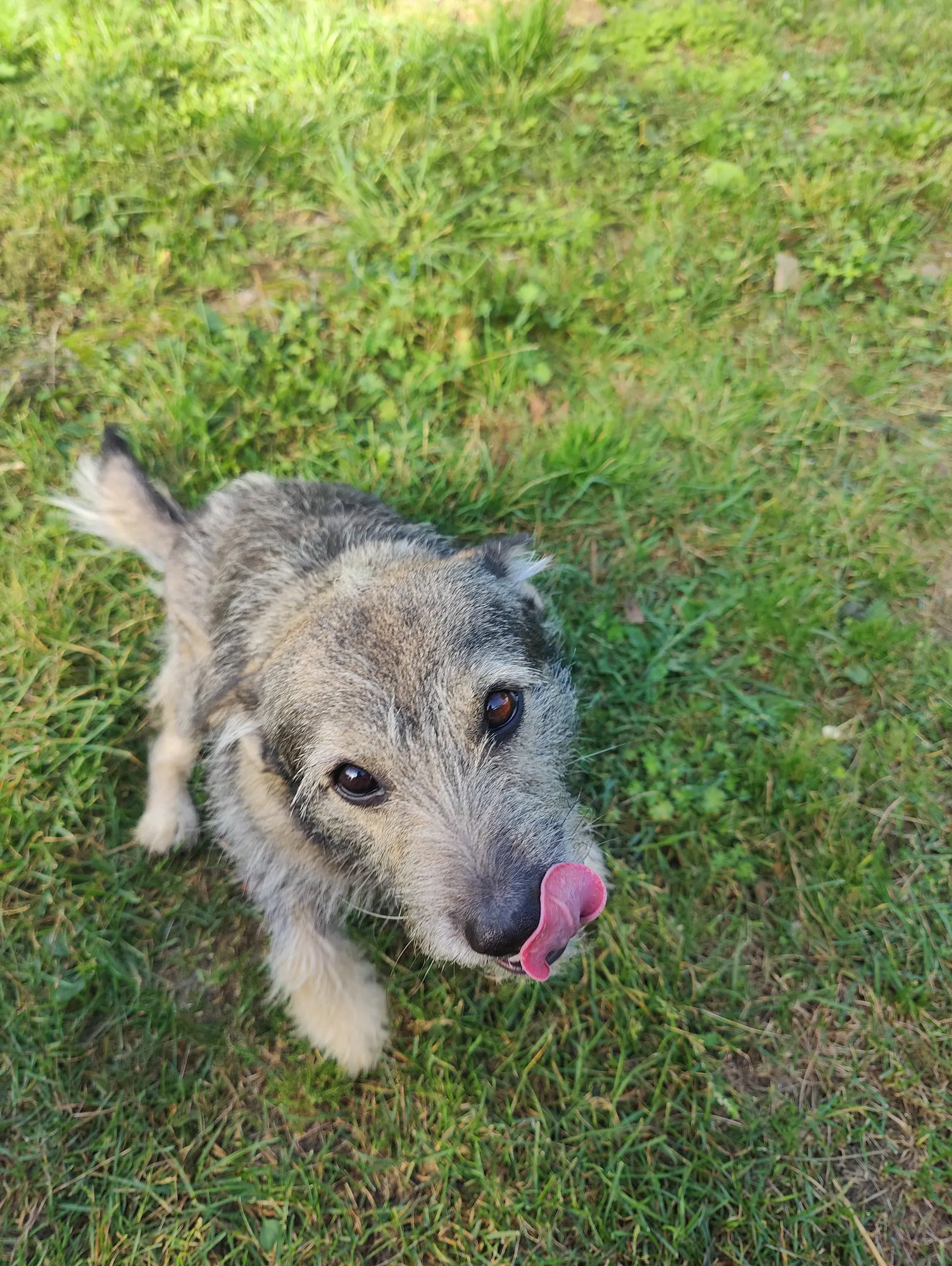 Гришка. Вукин сын. Вообще он Грей, но теперь Григорий))