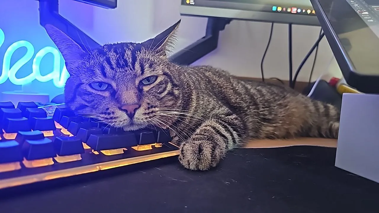 от звуков в комментах я чуть не поседел еще больше&nbsp;